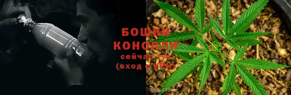 молекула духа Приозерск
