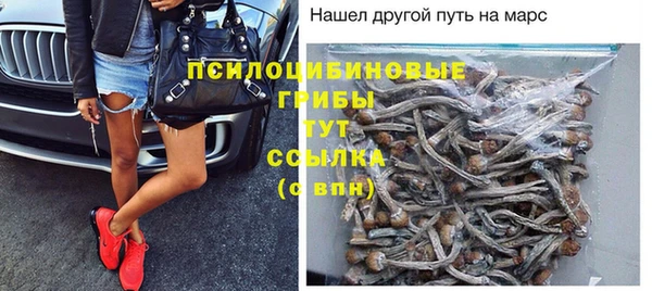 молекула духа Приозерск